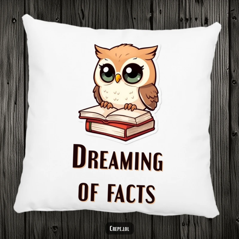 Funny pillow with an amazed owl sitting on a book, providing comfort and a touch of humor for book lovers.